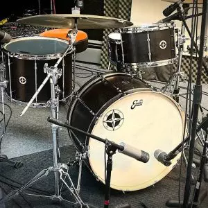 Silver Birch Regal kit